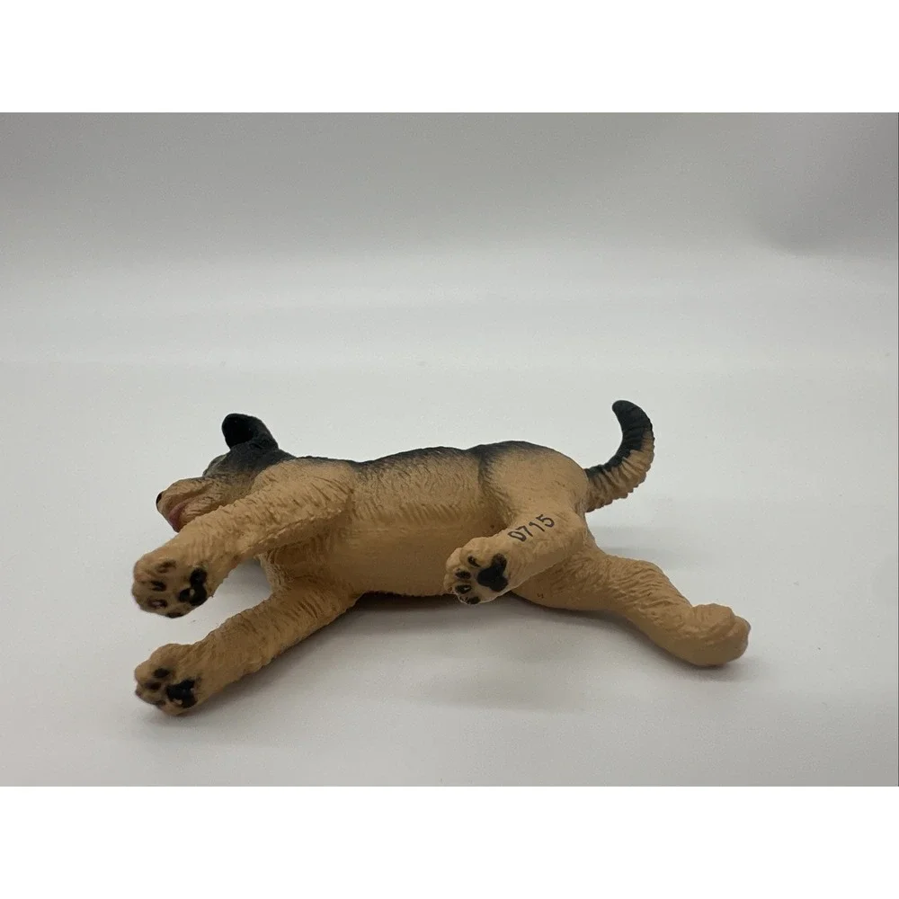 Safari pre owned